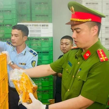 [Video] Hà Nội thu giữ 20 tấn thực phẩm không rõ nguồn gốc 
