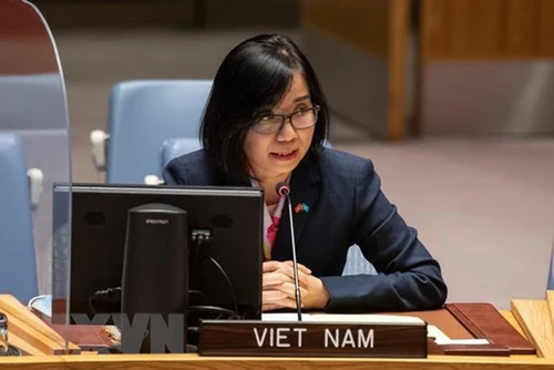 Phó Trưởng phái đoàn Việt Nam tại Liên hợp quốc Nguyễn Phương Trà. (Ảnh: TTXVN)