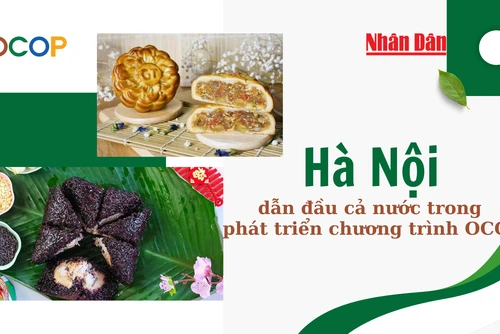 [Infographic] Hà Nội dẫn đầu cả nước trong phát triển chương trình OCOP