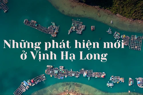 Những phát hiện mới ở Vịnh Hạ Long