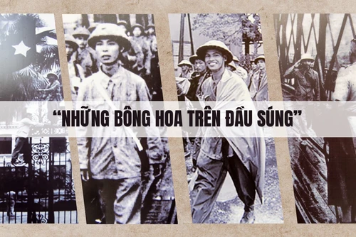 "Những bông hoa trên đầu súng"