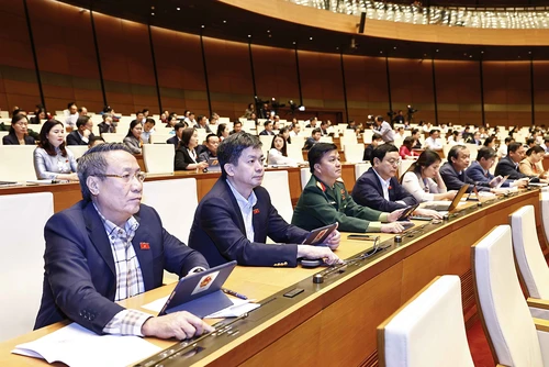 Các đại biểu Quốc hội biểu quyết thông qua luật, nghị quyết tại Kỳ họp thứ 8, Quốc hội khóa XV. (Ảnh: TTXVN)