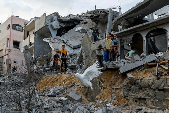 Chim bồ câu bay trên đống đổ nát của căn nhà bị vụ tấn công của Israel phá hủy tại Khan Younis, phía nam Dải Gaza tháng 10/2023. Ảnh | REUTERS/ Ibraheem Abre Mustafa