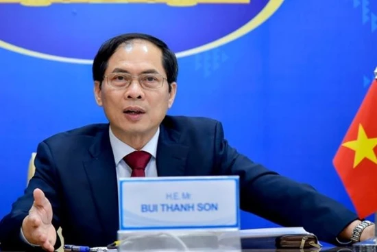 Bộ trưởng Ngoại giao Bùi Thanh Sơn (Ảnh: dangcongsan.vn)