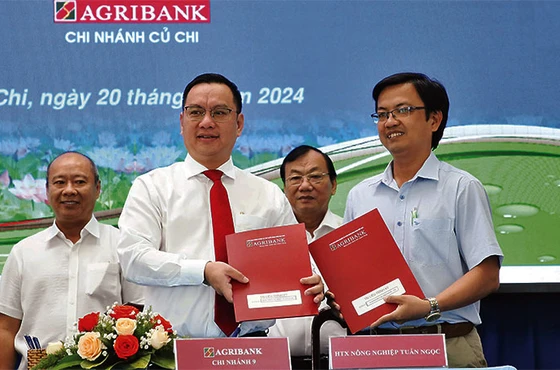 Đại diện các chi nhánh Agribank trên địa bàn Thành phố Hồ Chí Minh ký kết hỗ trợ khách hàng.