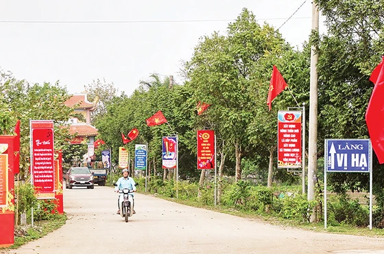 Tuyến đường nông thôn mới nâng cao tại xã Trung Lương được đầu tư xây dựng khang trang.