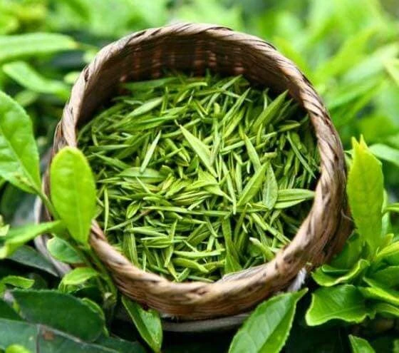 Chè xanh Bản Ven