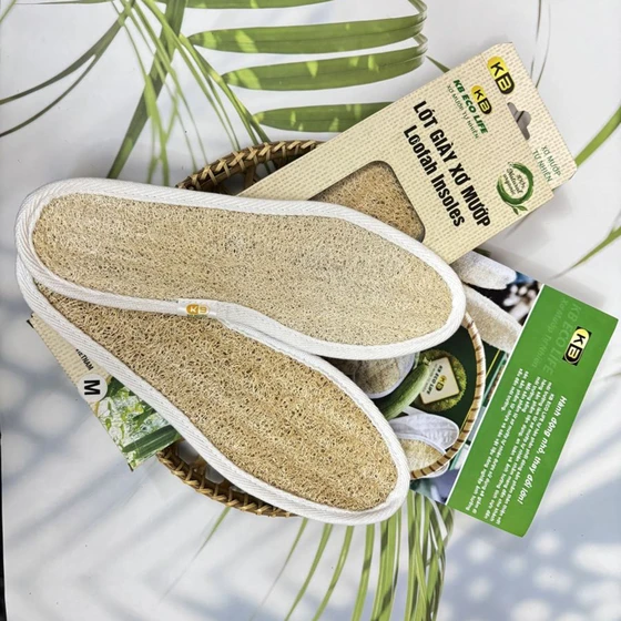 Lót giày xơ mướp