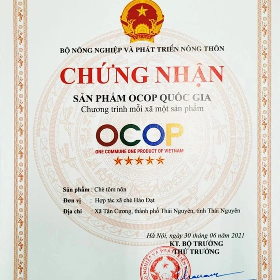 Trà nõn tôm Tân Cương Hảo Đạt