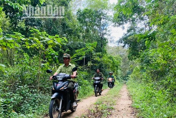 Lực lượng Kiểm lâm và quản lý, bảo vệ rừng Khu Bảo tồn thiên nhiên Ea Sô tuần tra, bảo vệ rừng.