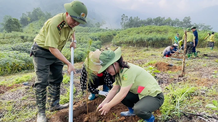 Kiểm lâm huyện Trấn Yên tham gia trồng cây.(Ảnh: THANH SƠN)