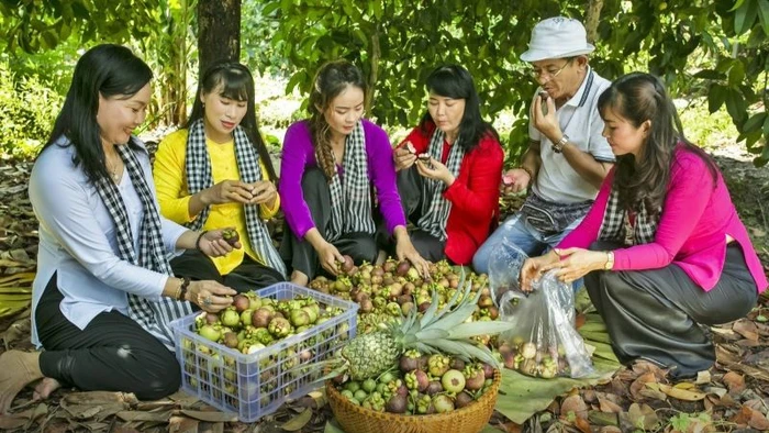 Măng cụt Lái Thiêu là trái cây đặc sản nổi tiếng của tỉnh Bình Dương. (Ảnh: TRẦN TÌNH)