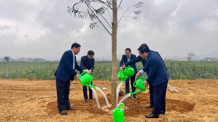 Sau lễ phát động, các đại biểu trồng cây tại thành phố Tam Điệp, tỉnh Ninh Bình.