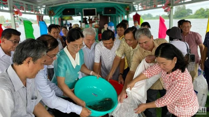 Thả cá xuống búng Bình Thiên.