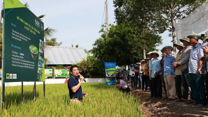 Nhà khoa học và nhà nông tham quan mô hình canh tác lúa thông minh.