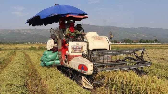 Máy móc thay sức người làm việc mải miết trên cánh đồng Mường Thanh.