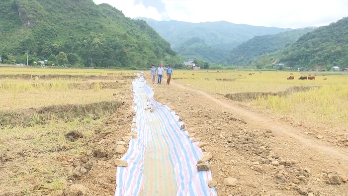 Người dân bản Nà Ngặp phải tự đào mương, lót bạt để dẫn nước từ hồ về nơi sản xuất.