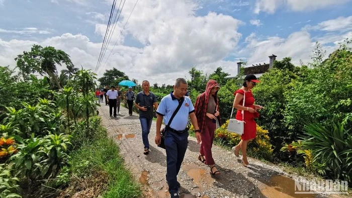 Khách du lịch trong và ngoài nước rất thích thú khi đến thăm làng vườn Bách Thuận (huyện Vũ Thư, tỉnh Thái Bình).