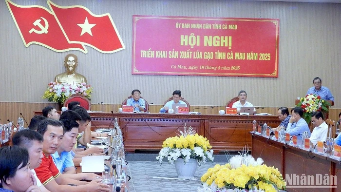 Hội nghị sản xuất lúa gạo tại Cà Mau chiều 18/4.