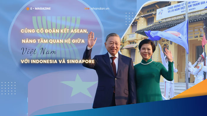 Fortalecimiento de la solidaridad de la ASEAN y mejora de las relaciones entre Vietnam, Indonesia y Singapur