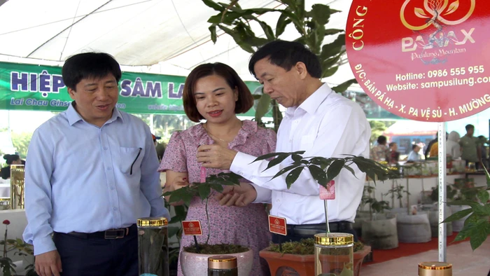 Sự kiện “Thúc đẩy liên kết vùng trong phát triển thương mại điện tử - Nâng tầm sản phẩm vùng trung du và miền núi phía bắc” sắp diễn ra tại Lai Châu.