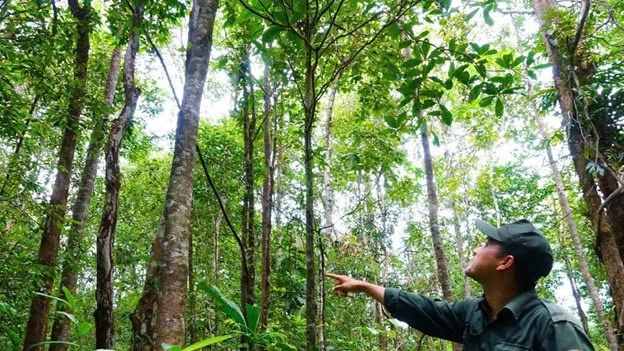 Lực lượng chuyên trách tuần tra bảo vệ rừng.