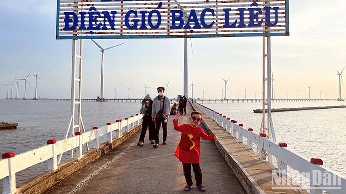 Du khách tham quan Nhà máy điện gió Bạc Liêu.