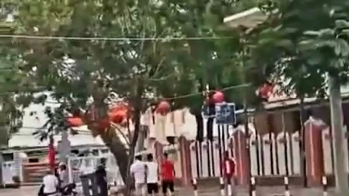 Nhóm thanh niên cầm hung khí vào trụ sở Ủy ban nhân dân xã Hàm Ninh là để giao nộp cho Công an. (Ảnh cắt từ clip)