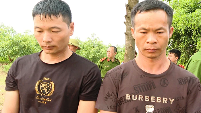 Hai nghi phạm người nước ngoài bị tạm giữ hình sự.