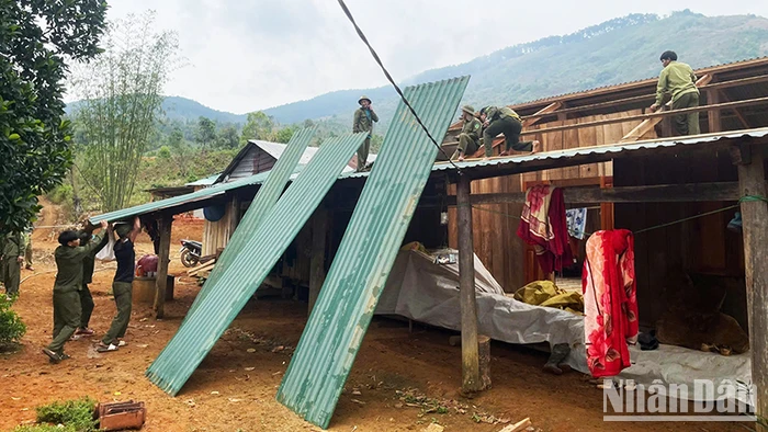 Lực lượng dân quân tự vệ và thanh niên hỗ trợ người dân sửa chữa lại nhà cửa.