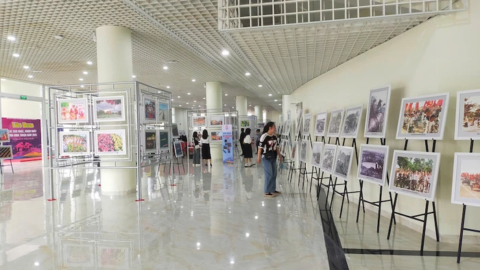 Du khách ngắm những bức tranh đang được trưng bày.