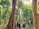 Nguồn kinh phí từ bán tín chỉ các-bon giúp cho tỉnh Quảng Bình nâng cao công tác quản lý, bảo vệ rừng.
