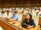 Các đại biểu Quốc hội bấm nút thông qua việc điều chỉnh Chương trình Kỳ họp thứ 9, Quốc hội khóa XV. (Ảnh: BÙI GIANG)