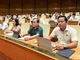 Các đại biểu tham dự phiên họp. (Ảnh: BÙI GIANG)