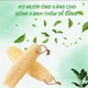Lót giày xơ mướp