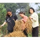Rượu ba kích Tam Đảo sâm cau