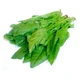 Bó xôi cấp đông Dalat Agri Foods