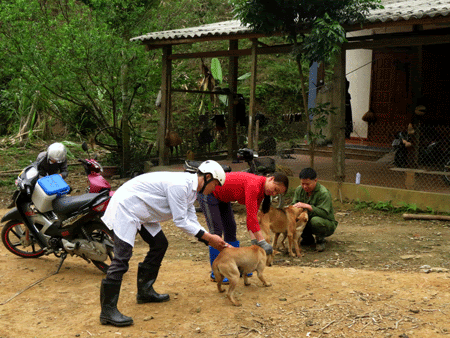 Ảnh minh họa.