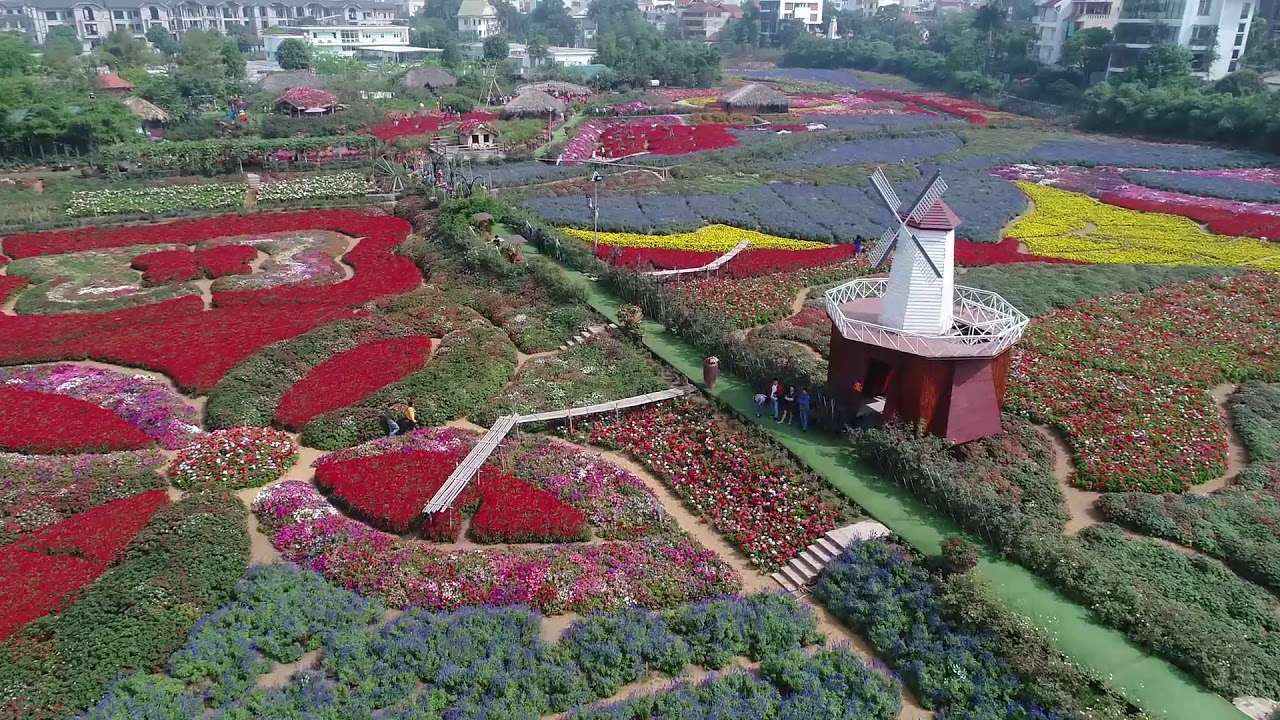 Vườn đào Nhật Tân sẽ nằm trong khu du lịch cấp thành phố ảnh 1