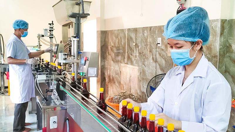 Minh bạch nguồn gốc tăng sức cạnh tranh cho nông sản Việt ảnh 1