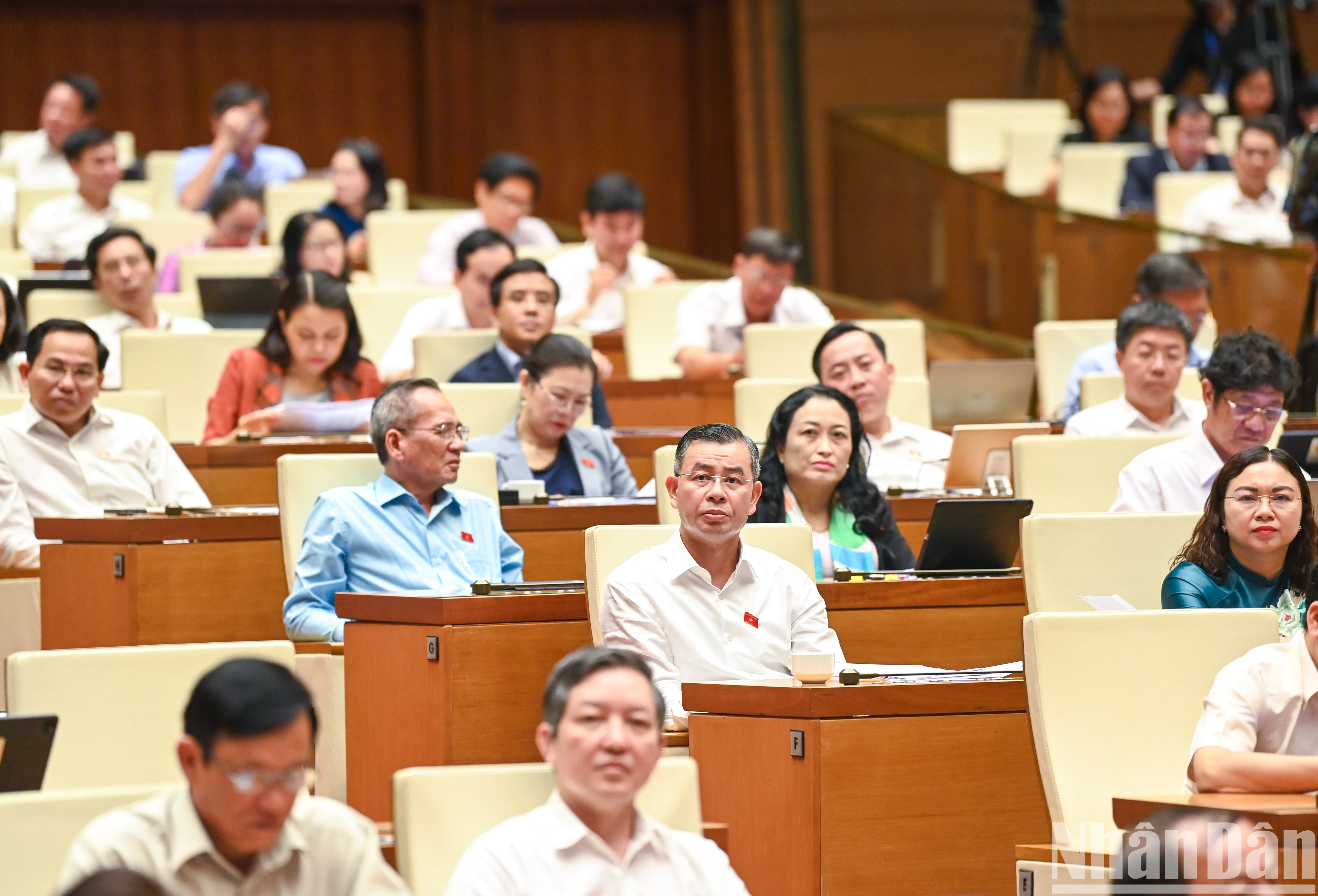 Tạo sinh kế dưới tán rừng để khuyến khích cộng đồng bảo vệ rừng ảnh 1
