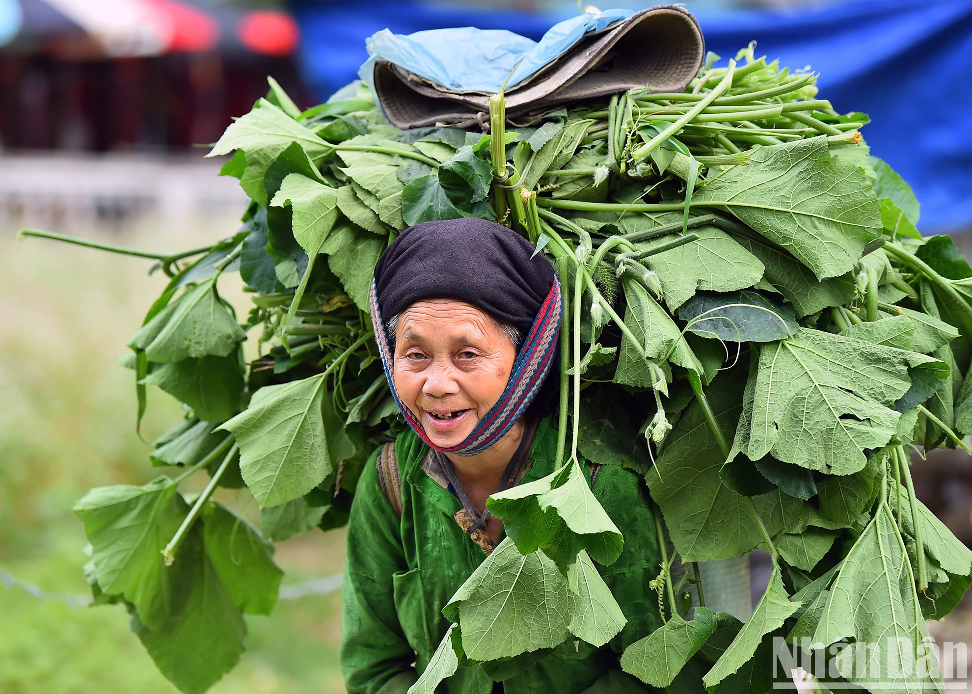 [Ảnh] Hương sắc Hà Giang ảnh 8