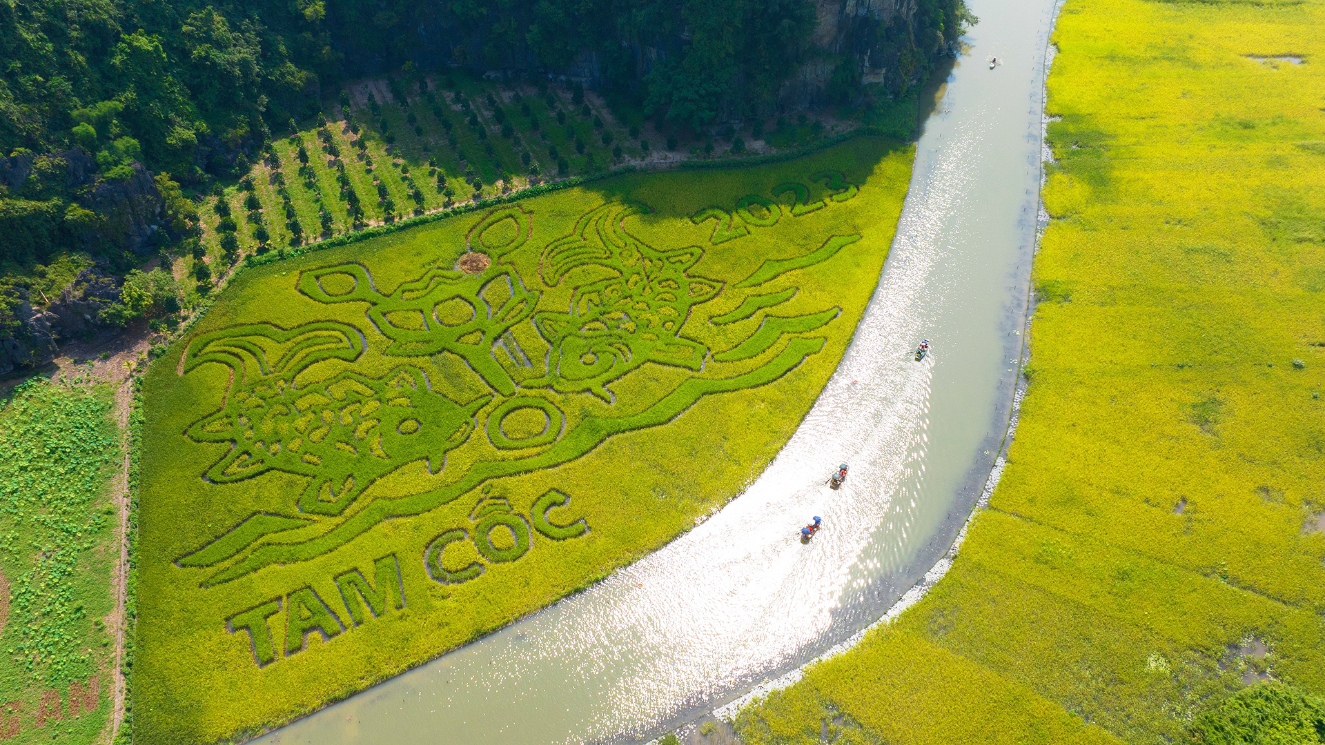 Bức tranh "Lý ngư vọng nguyệt" trên cánh đồng bên dòng sông Ngô Đồng. (Ảnh: Sở Du lịch Ninh Bình)