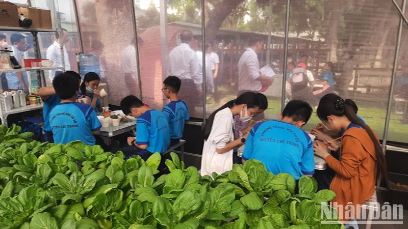 Nhiều tập thể, cá nhân ngành giáo dục Thành phố Hồ Chí Minh bị đề nghị kiểm điểm ảnh 1