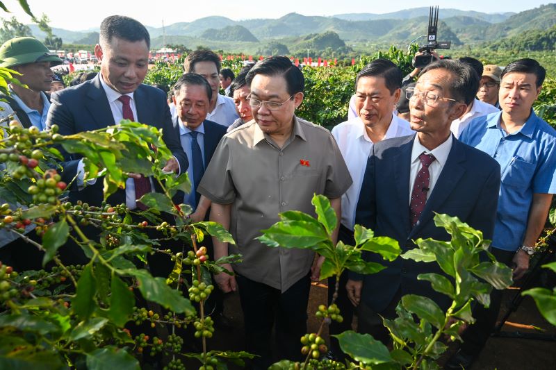 Chủ tịch Quốc hội dự lễ khánh thành Nhà máy chế biến cà-phê Sơn La ảnh 1