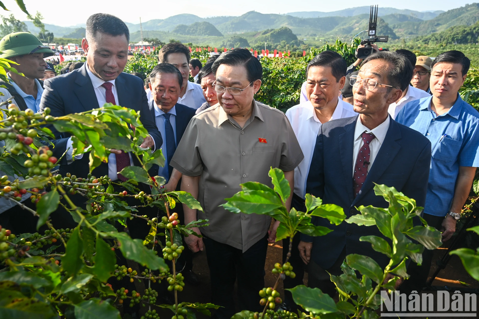 [Ảnh] Chủ tịch Quốc hội Vương Đình Huệ thăm vùng trồng cà-phê Sơn La ảnh 1