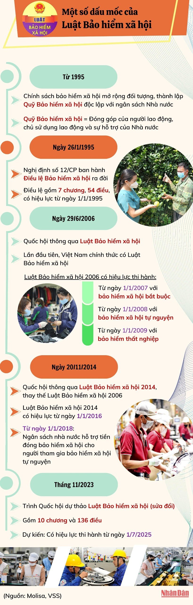 [Infographic] Một số dấu mốc của Luật Bảo hiểm xã hội ảnh 1