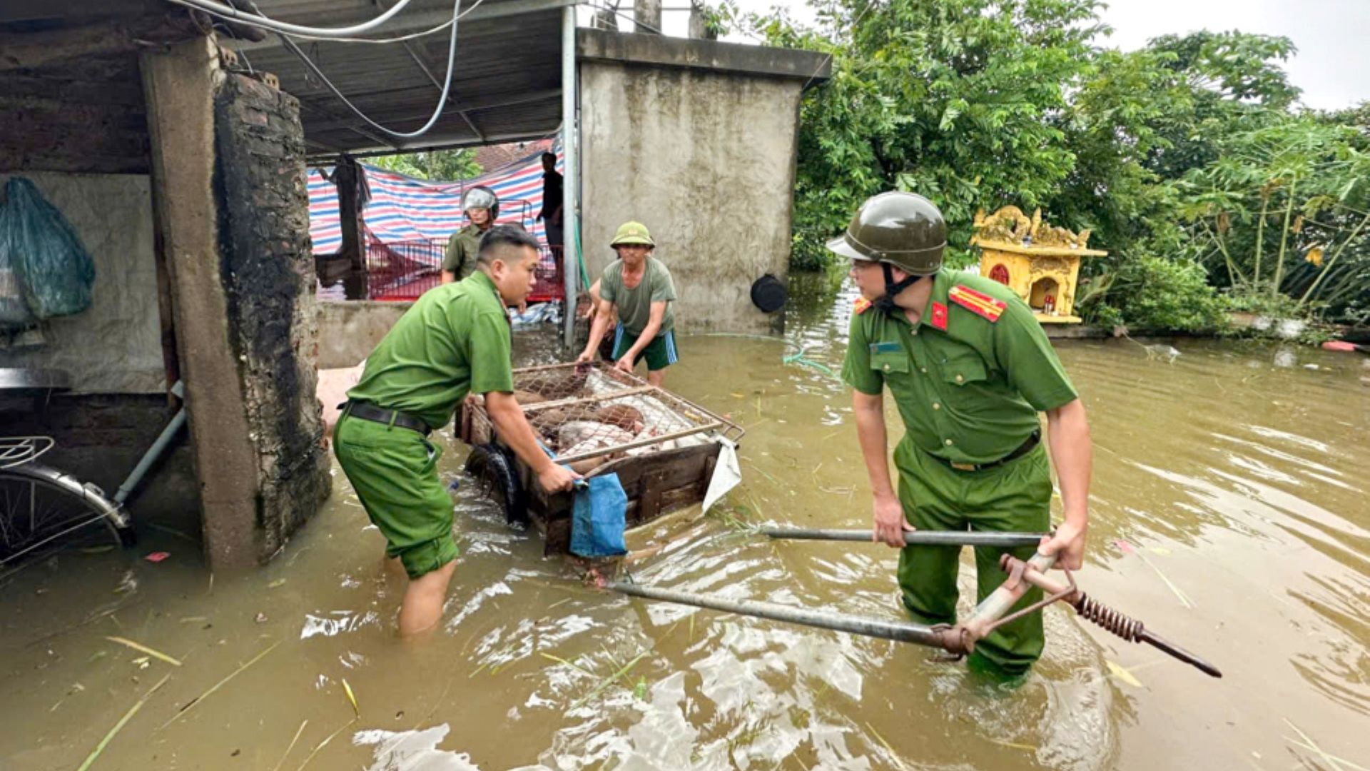 [Ảnh] Bộ đội, công an giúp người dân Hà Nội chạy lụt