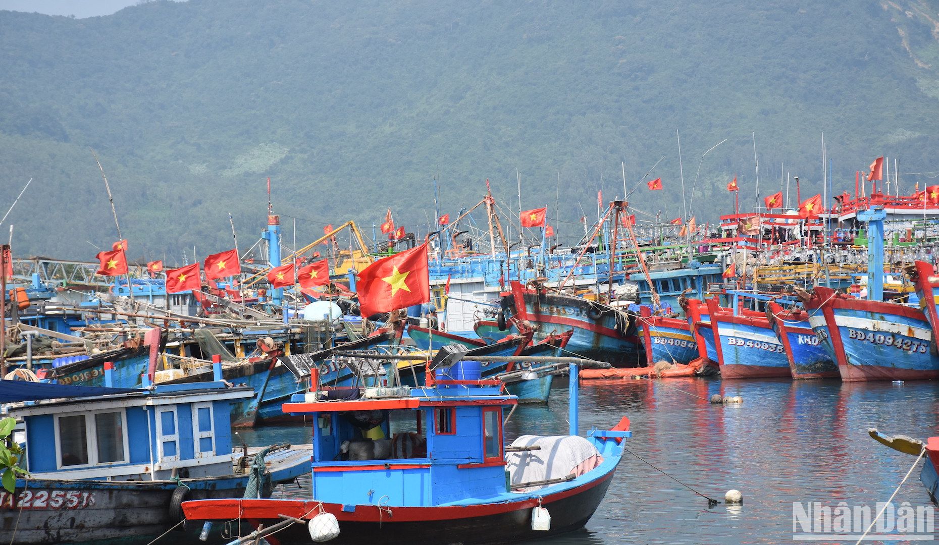 Hàng trăm tàu cá của ngư dân khu vực miền trung đang neo đậu tại Âu thuyền và cảng cá Thọ Quang sẽ ra khơi cho chuyến biển đầu năm trong vài ngày tới.