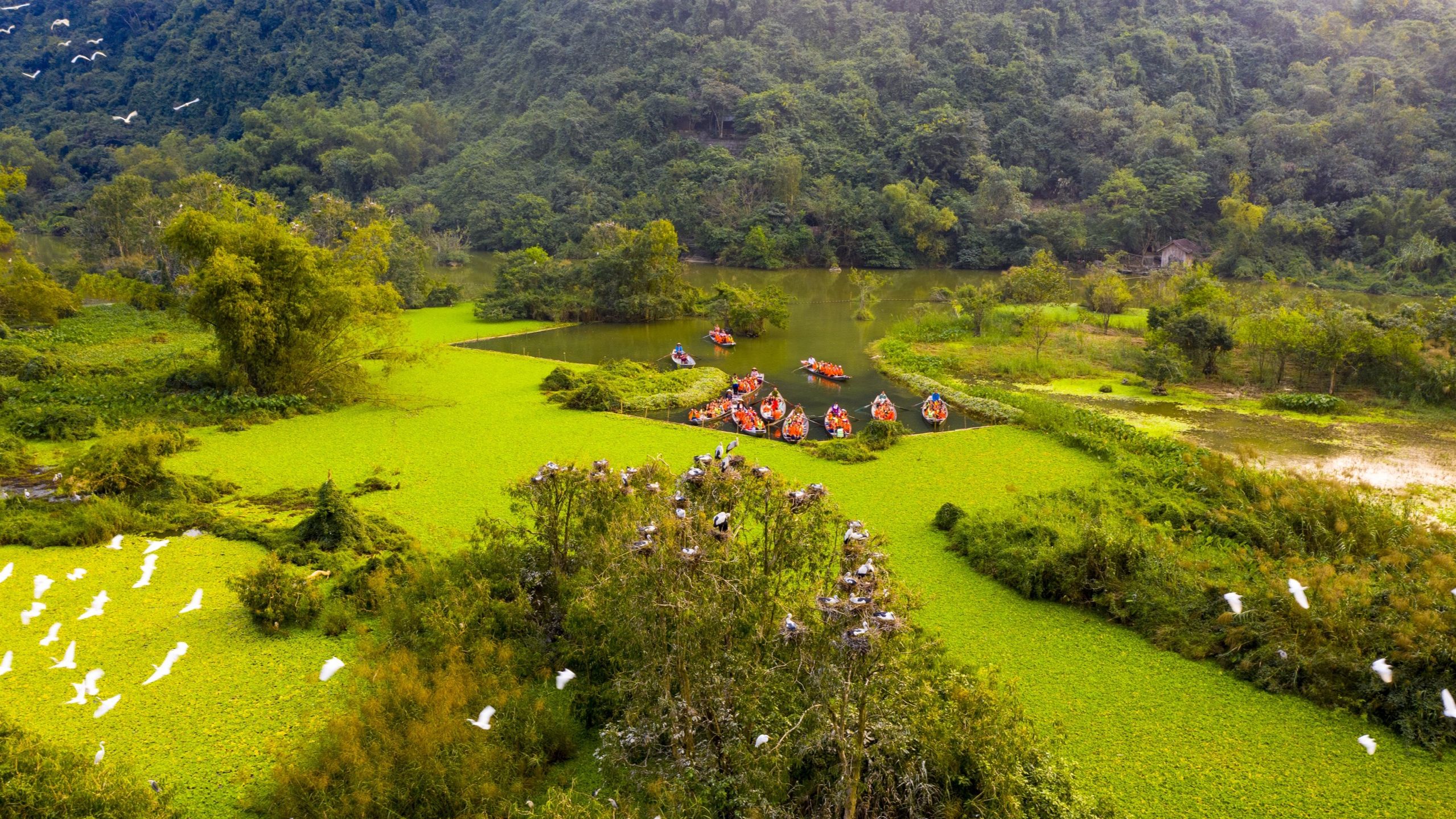 Khu du lịch sinh thái Thung Nham (thôn Hải Nham, xã Ninh Hải, huyện Hoa Lư, Ninh Bình) được biết đến là điểm du lịch có cảnh quan thơ mộng với vẻ đẹp hoang sơ, độc đáo, là nơi cư ngụ của rất nhiều loài chim. (Ảnh: Trường Huy)